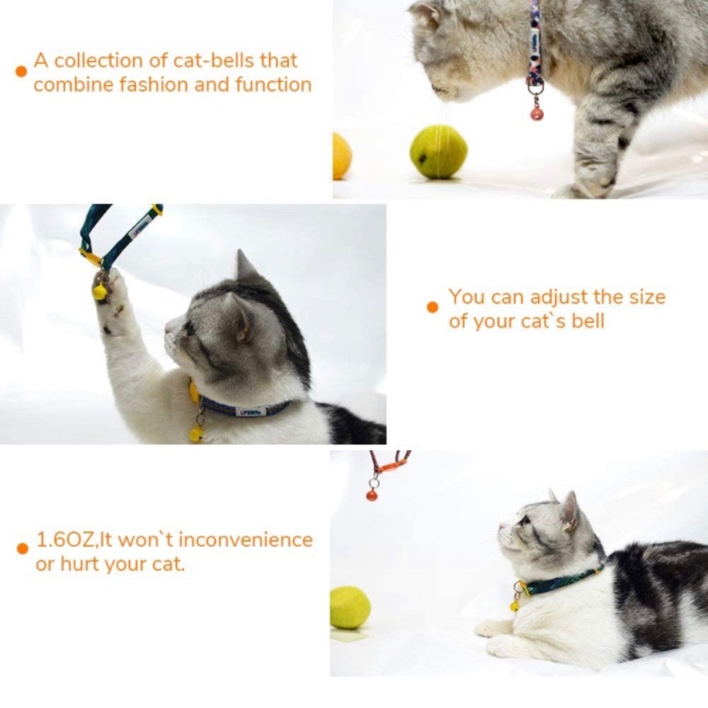 Cat / Small Dog Collar